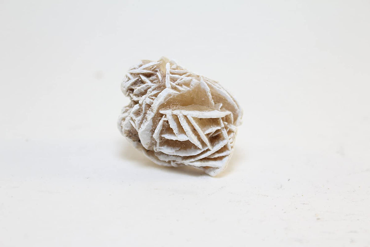 Selenite Gypsum Desert Rosettes Crystal