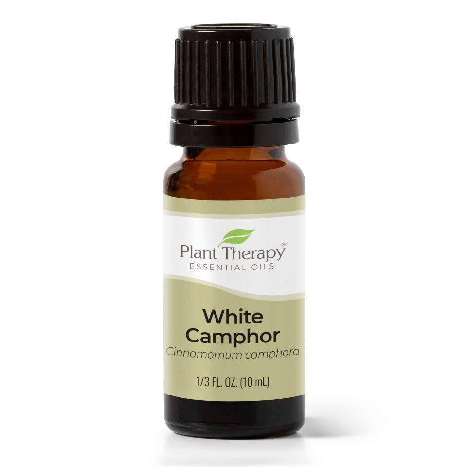 White Camphor Essential Oil 10mL Self Care Plant Therapy   