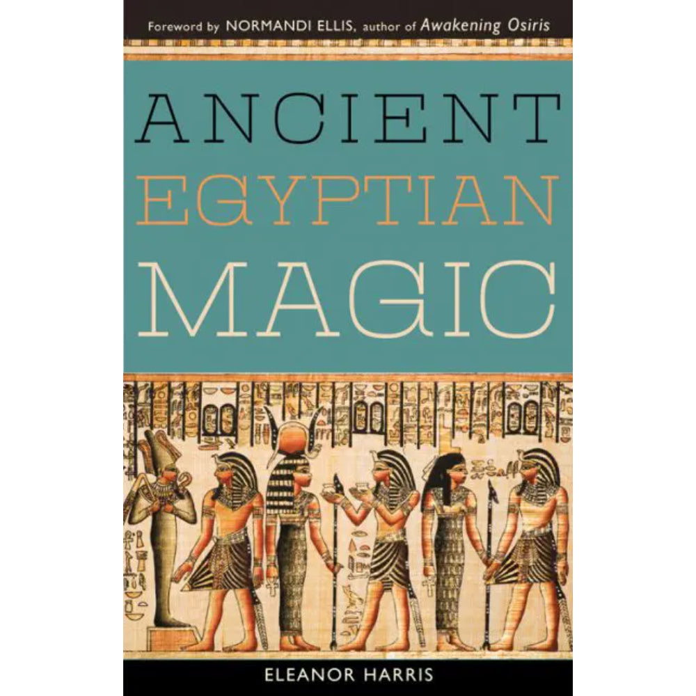 Ancient Egyptian Magic Books RedWheel/Weiser   