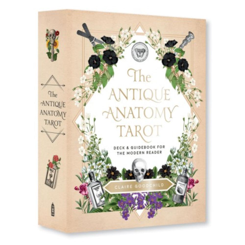 Antique Anatomy Tarot Tarot Cards Hachette Book Group   