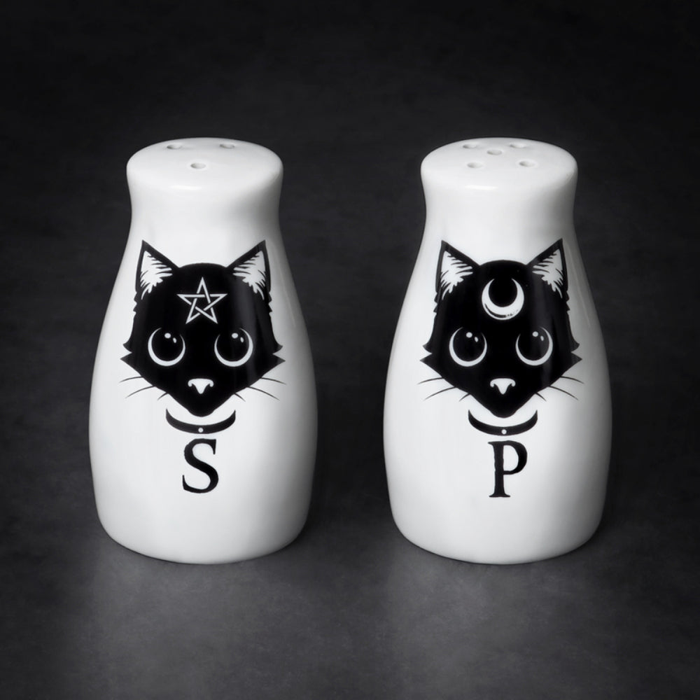 Black Cats Salt and Pepper Set Home Decor Alchemy England   