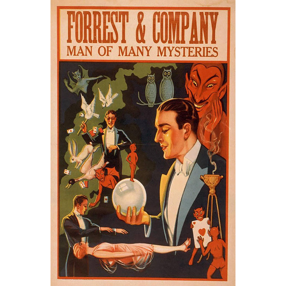 Forrest and Company Art Print Poster Home Decor Poster Scene   
