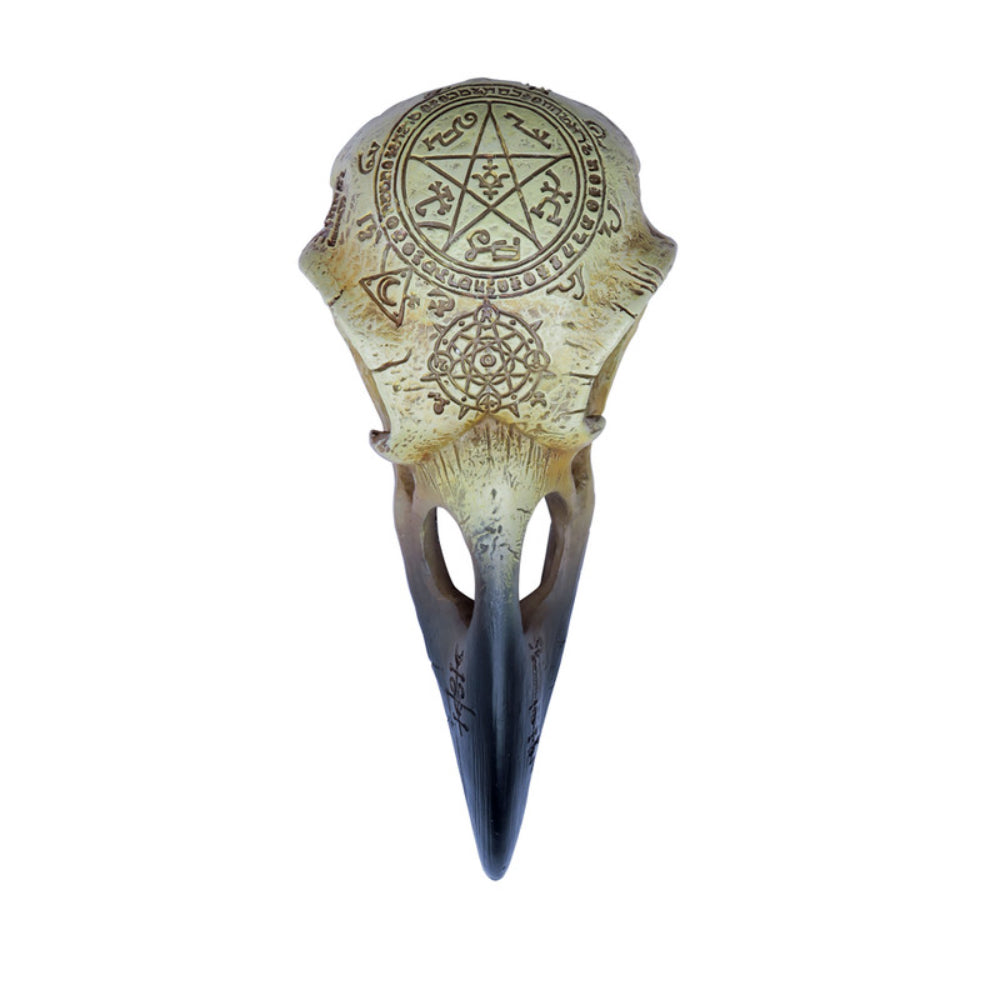 Omega Raven Skull