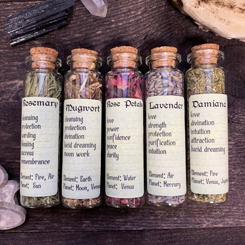 Set of 5 Witchy Herbs Witchcraft Of Forest and Fae   