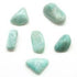 Amazonite Tumbled Crystal