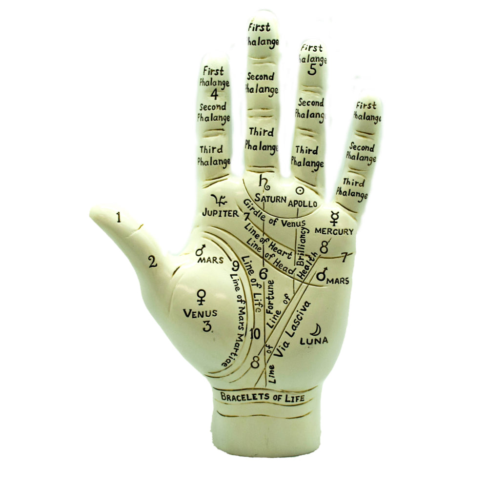 Palmistry Hand Witchcraft Fantasy Gifts   